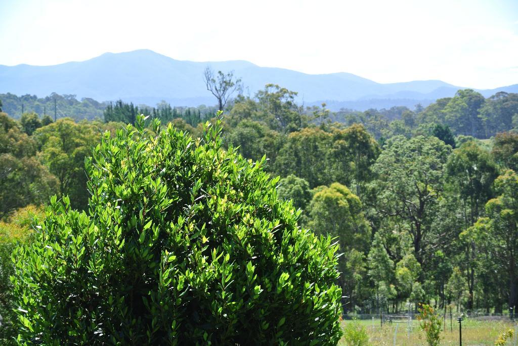 Bryn Glas Farm Stay Moruya Extérieur photo