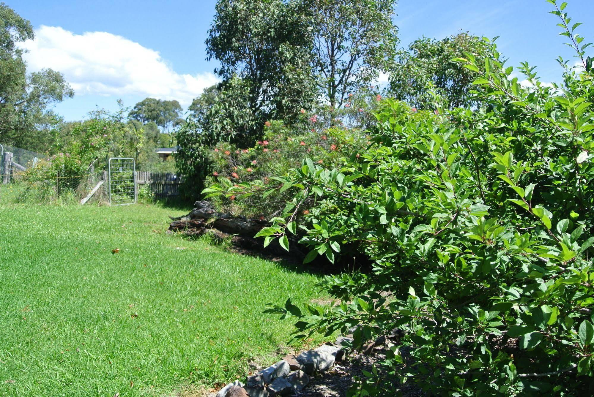 Bryn Glas Farm Stay Moruya Extérieur photo